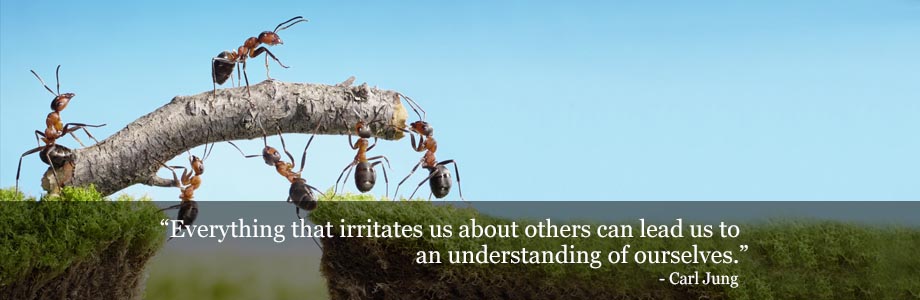 Group coaching from Cresca