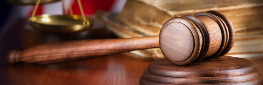 Cresca website terms of use